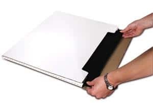 A photo of a fold over mailer.